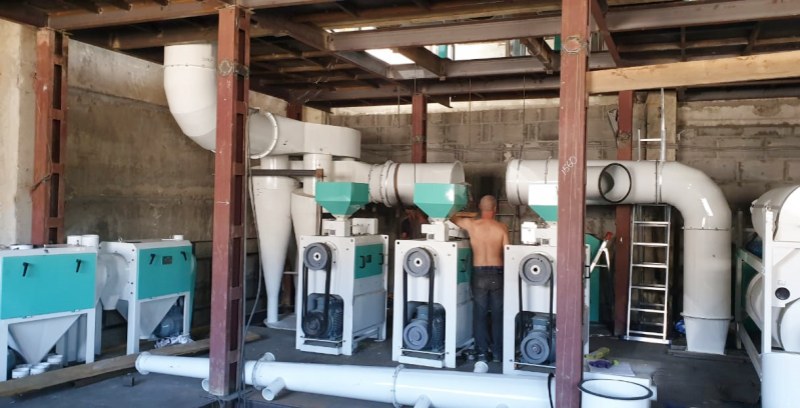 80TPD Lentil and Peas Cleaning and Peeling Line Delivered to Russia